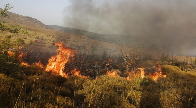 Aliağa'da makilik alandaki yangın kontrol altına alınarak soğutma çalışma başlandı