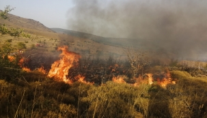 Aliağa'da makilik alandaki yangın kontrol altına alınarak soğutma çalışma başlandı
