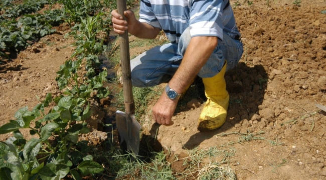 Atıksular tarımsal sulamada kullanılacak