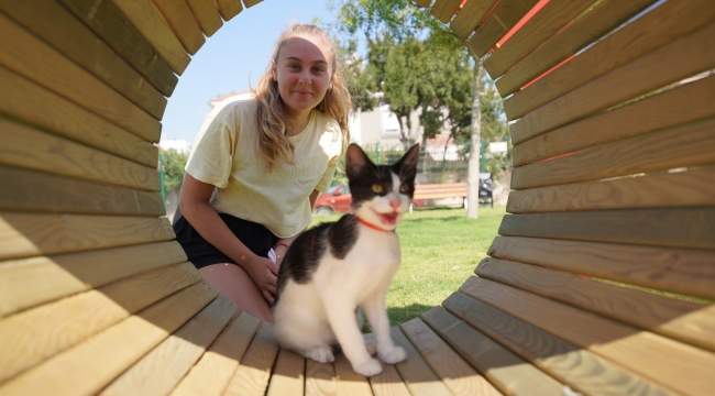 Çeşme'de köpeklere özel 'Pati Park'