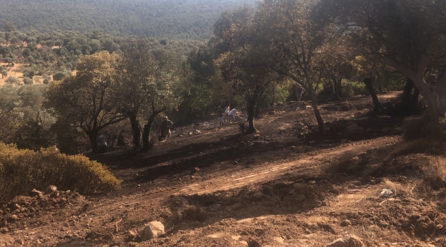 Foça Gencelli'de yangın