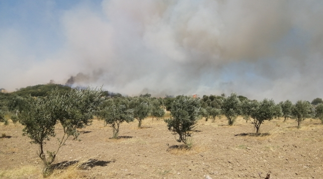 Foça yangını kontrol altına alındı