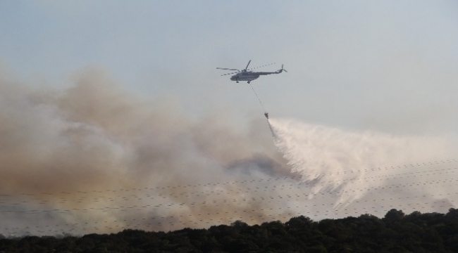 İzmir Urla'daki makilik alan yangını kontrol altında