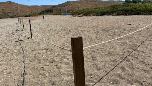 Kum zambaklarını gözümüzden sakınıyoruz