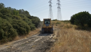 Orman Yolları Açılıyor, Kuru Otlar Temizleniyor