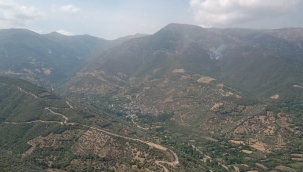 Tire'nin Osmancık kırsal mahallesinde yangın çıktı