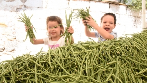 Torbalı'da Börülce Festivali coşkusu
