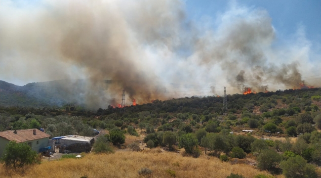 Urla'daki makilik alan yangınına müdahale sürüyor