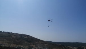 Aliağa'da otluk alanda çıkan yangın korkuttu