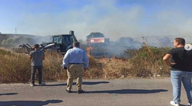 Çeşme'de sigara izmaritinden çıktığı düşünülen yangın zeytinlik alana sıçradı