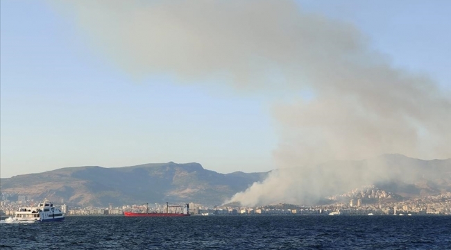 İzmir'de ormanlık alanda çıkan yangın kontrol altında