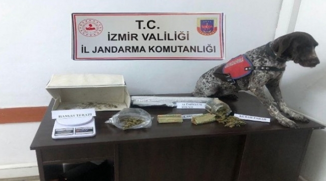 Jandarmadan uyuşturucu tacirlerine darbe