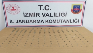 Jandarmanın durdurduğu araçtan 173 parça tarihi eser çıktı