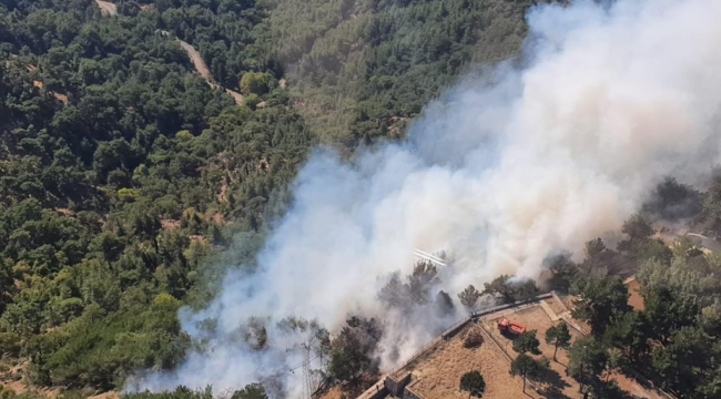 Karşıyaka'da orman yangını