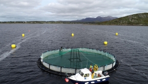 Çamlı Yem Besicilik, IMPAQT Projesi ile Akıllı ve Sürdürülebilir Balık Yetiştiriciliğini Destekliyor