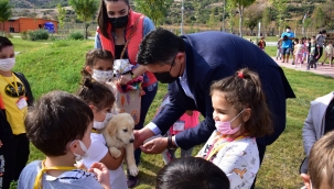 Minik Öğrencilerin Pati Park Keyfi