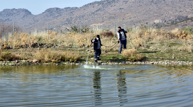 Aliağa Belediyesi Vektörle Mücadelesini Sürdürüyor