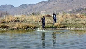 Aliağa Belediyesi Vektörle Mücadelesini Sürdürüyor