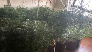 Menemen'de villaya kaçak elektrik çekip, uyuşturucu serası kurmuşlar