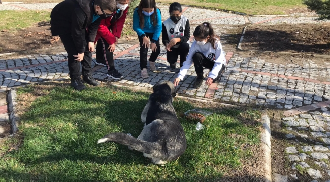 Sokak hayvanları için ortaokul öğrencilerinden Avrupa Birliği Projesi