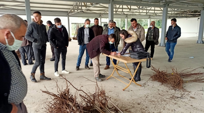 Tireli Üreticiler Yepyeni Bir Kestane Çeşidi ile Tanışıyor "Bouche de Betizac"