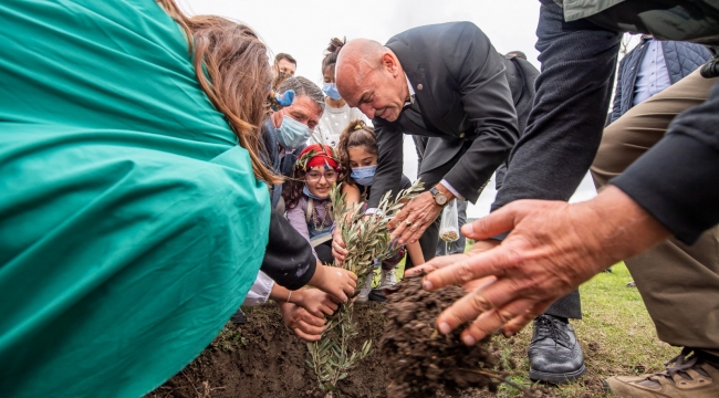 Zeytin Barış Festivali "Bir Zeytin Dalı Yeter" sloganıyla başladı