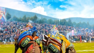 Bölgenin en büyük Deve Güreşi Festivali 6 Şubat'ta Torbalı'da