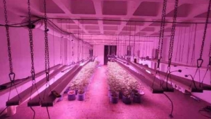 İş yeri görünümlü uyuşturucu imalathanesine baskın