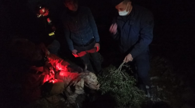 Kınık'da kayalık arazide mahsur kalan gebe keçi kurtarıldı