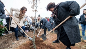 Soyer: "Her bir ağaca dair sorumluluğumuz var"