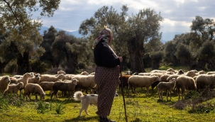 İzmir Büyükşehir Belediyesi'nden çiftçilere ücretsiz danışmanlık hizmeti