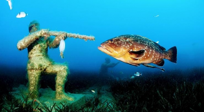 İzmirli su altı fotoğrafçısı dünya birincisi oldu