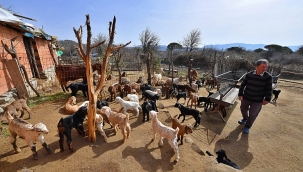 Mera İzmir projesiyle üretici artık geleceğe umutla bakıyor