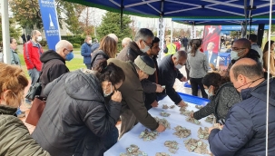 EDREMİT'İN ATALIK TOHUMLARI İZMİR'DE