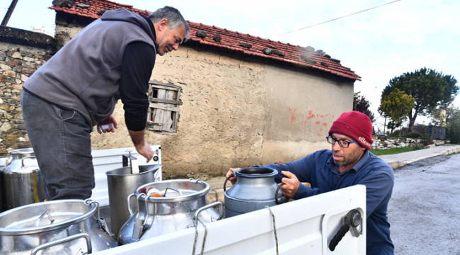 İzmir'de süt üreticisi nefes almaya başladı