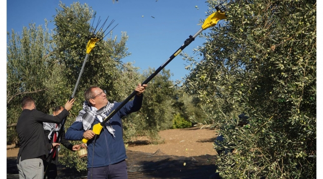 MESUT ERGİN, "ZEYTİNİME DOKUNMA"