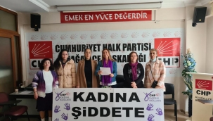 CHP'li Ataş : "Eşitliği de özgürlüğü de bu topraklarda hâkim kılacağız"