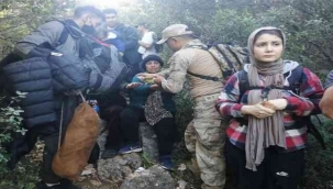 İzmir'de jandarmadan göçmen operasyonu: 12 insan kaçakçısı yakalandı