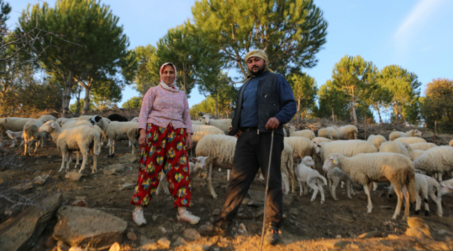 İzmir'in Çoban Haritası çıkarıldı