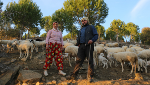 İzmir'in Çoban Haritası çıkarıldı