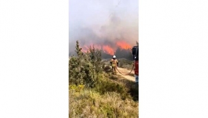 Ünlü tatil merkezi Çeşme'deki yangın kontrol altında