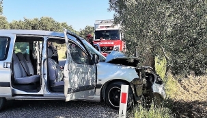 Aliağa 'da hafif ticari araç ağaca çarptı