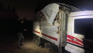 Aliağa'da orman kaçakçıları suçüstü yakalandı