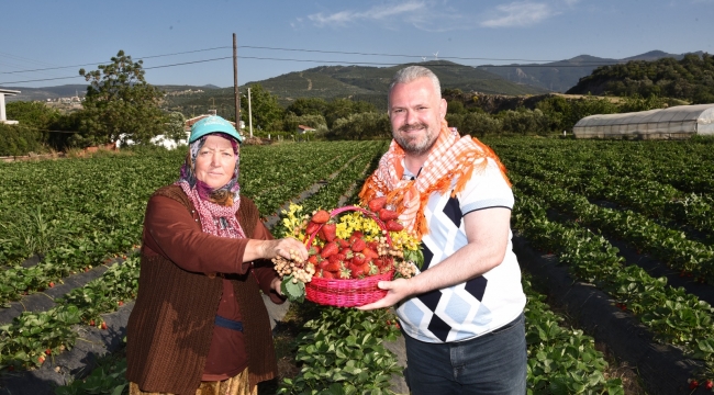 İzmir, Çilek Festivali'nde buluşacak