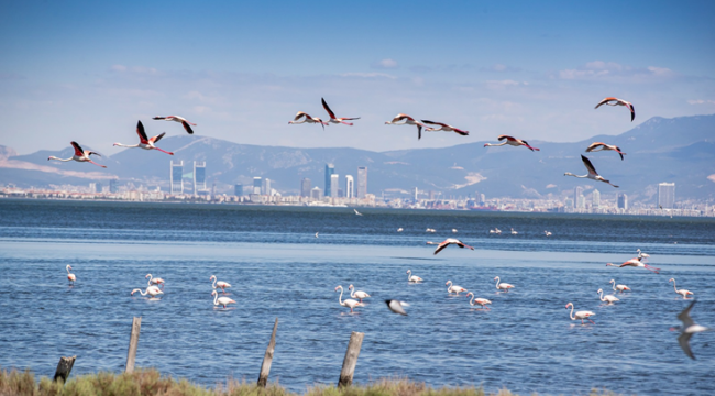 İzmir Dünya Turizm Kentleri Federasyonu'na kabul edildi.