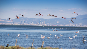 İzmir Dünya Turizm Kentleri Federasyonu'na kabul edildi.