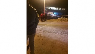 Yoldan çıkarak kayaya çarpan sürücü hayatını kaybetti