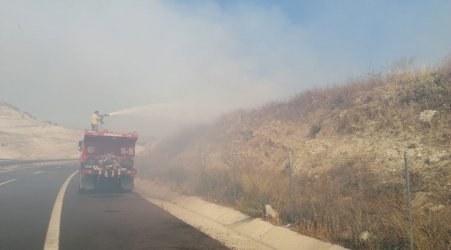 Aliağa'da otluk ve makilik alanda yangın