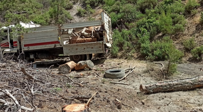 Bergama'da Ormanda Kaçak Ağaç Kesen Şahsa Suçüstü 