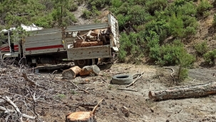 Bergama'da Ormanda Kaçak Ağaç Kesen Şahsa Suçüstü 